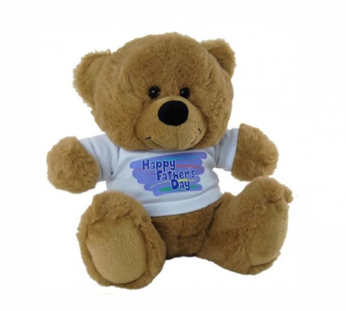 Happy Fathers Day Bear 23cm