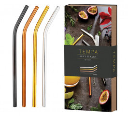 Tempa Aurora Stainless Steel Straw Set of 4 - Assorted