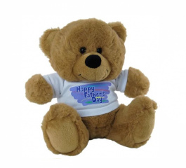 Happy Fathers Day Bear 23cm