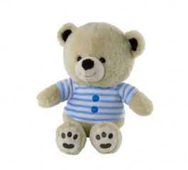Teddy Little Boy Bear 20cm