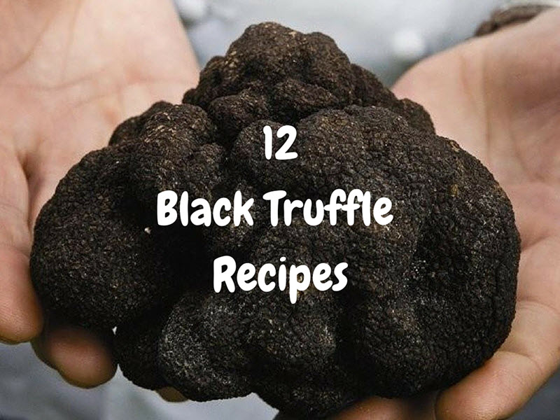 12 Black Truffle Recipes - Just In Time Gourmet