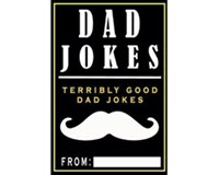dad jokes book for father day gift3